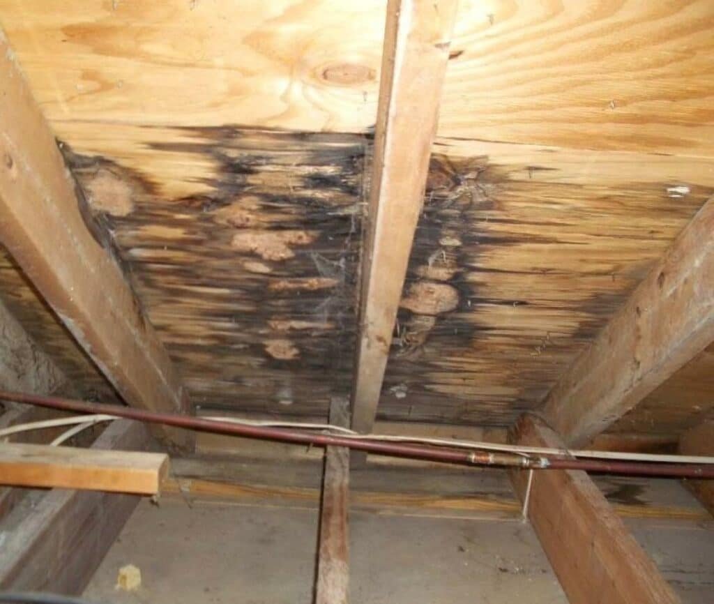 Water damaged roof decking in attic space