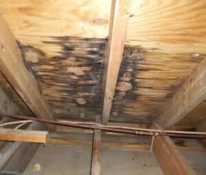 Chimney Flashing & Leak Repair